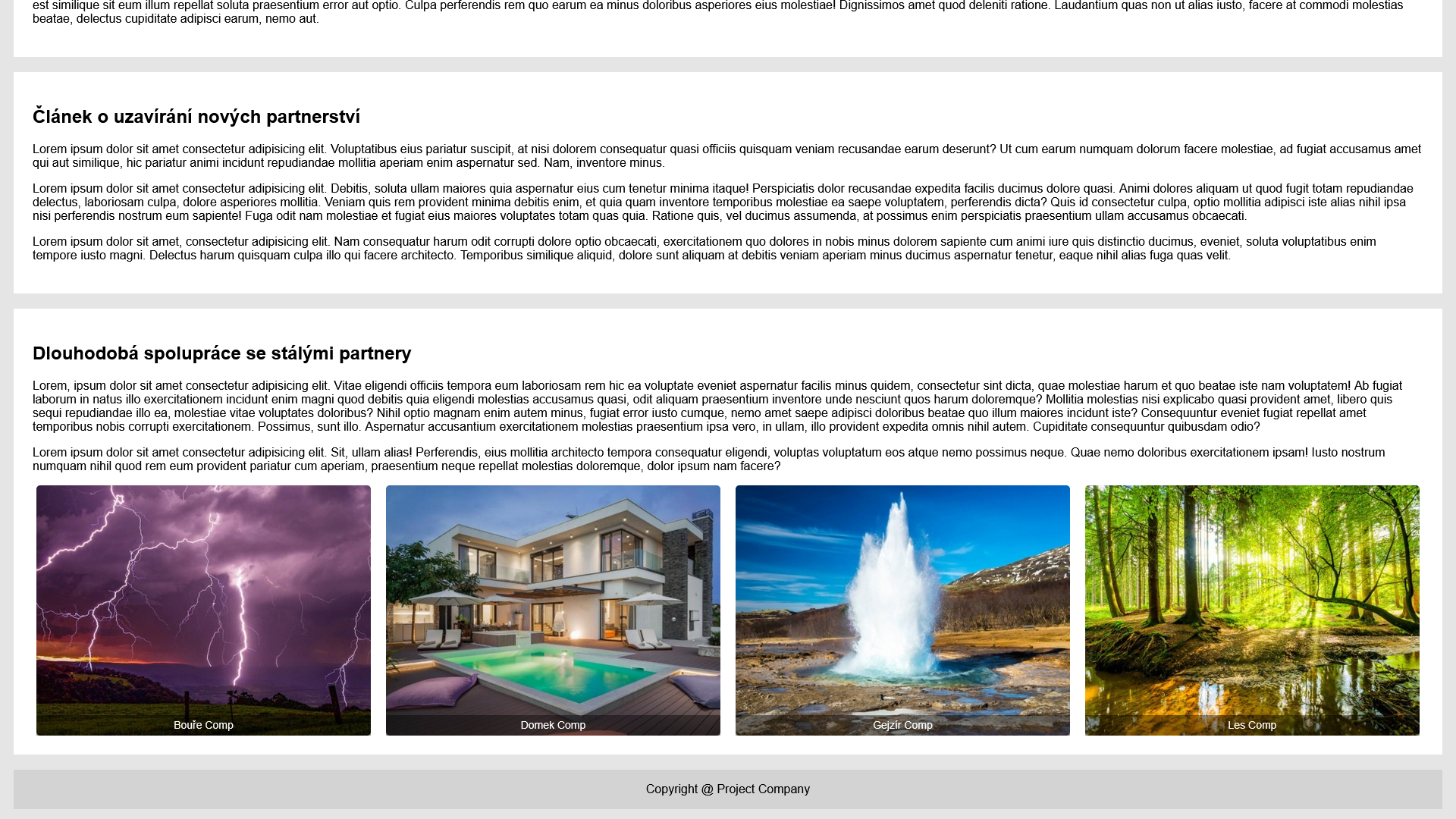 Snímek spodního oddílu stránky Partneři