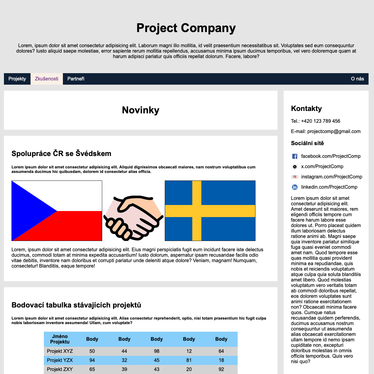 Custom Project Company Projekt Obrázek